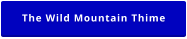 The Wild Mountain Thime